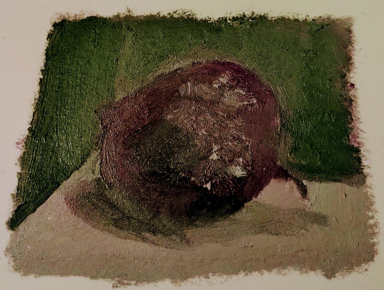 Red Onion! - image 1 - student project