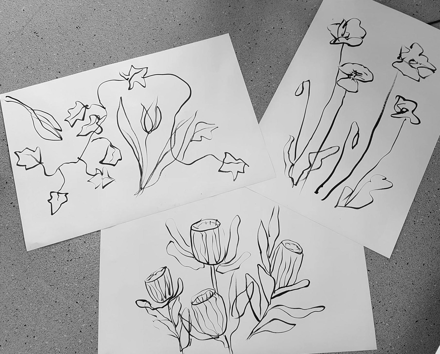 Draw Explore - image 1 - student project