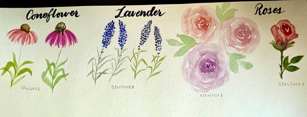 Loose florals with Pooja Kenjale-Umrani - image 2 - student project