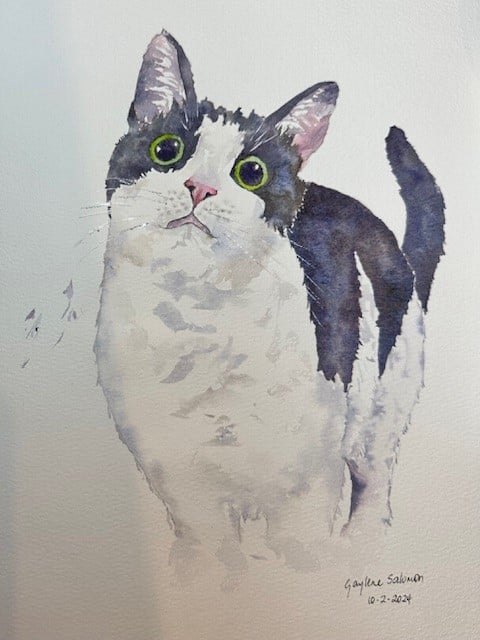 Miss Whiskas - image 1 - student project