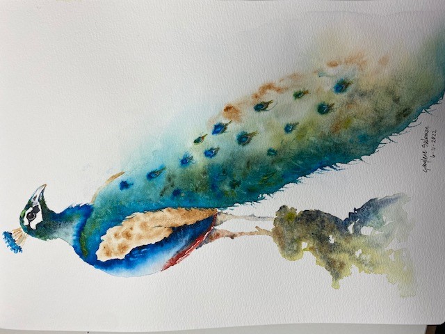 Peacock - image 1 - student project