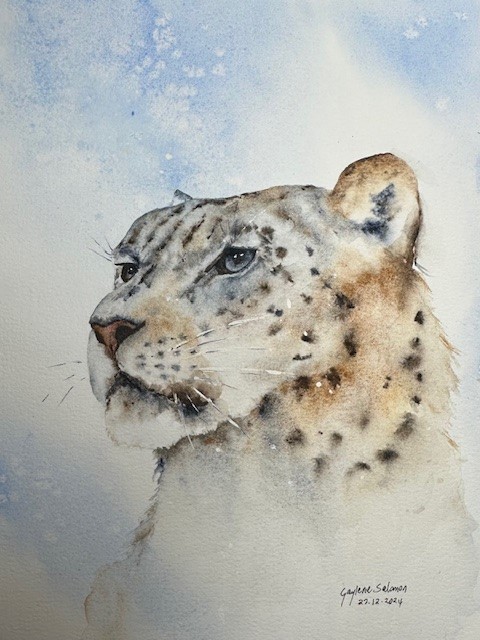 Snow Leopard - image 1 - student project