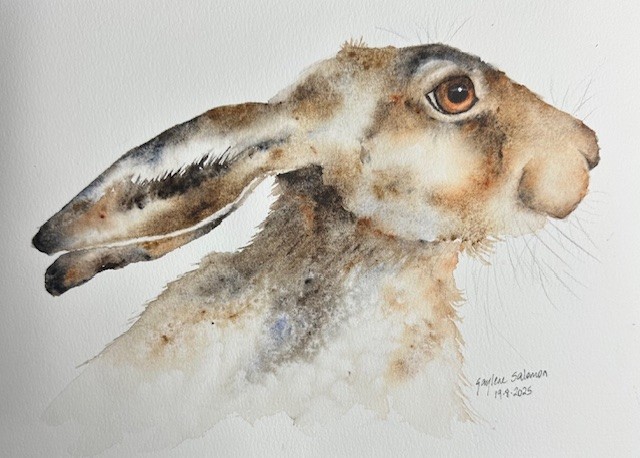 Summer Hare - image 1 - student project