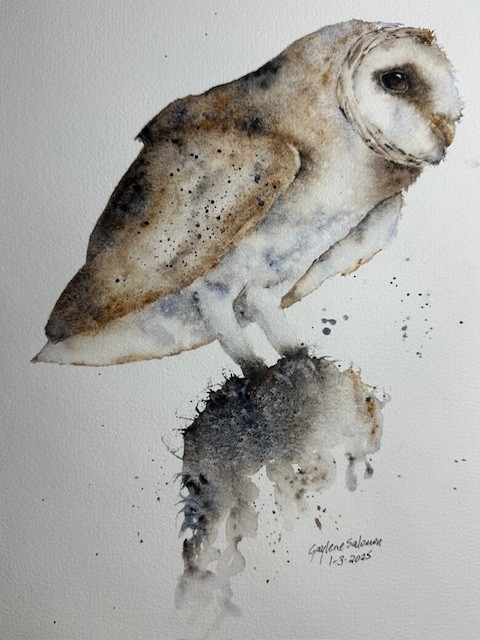 Perching Barn Owl - image 1 - student project