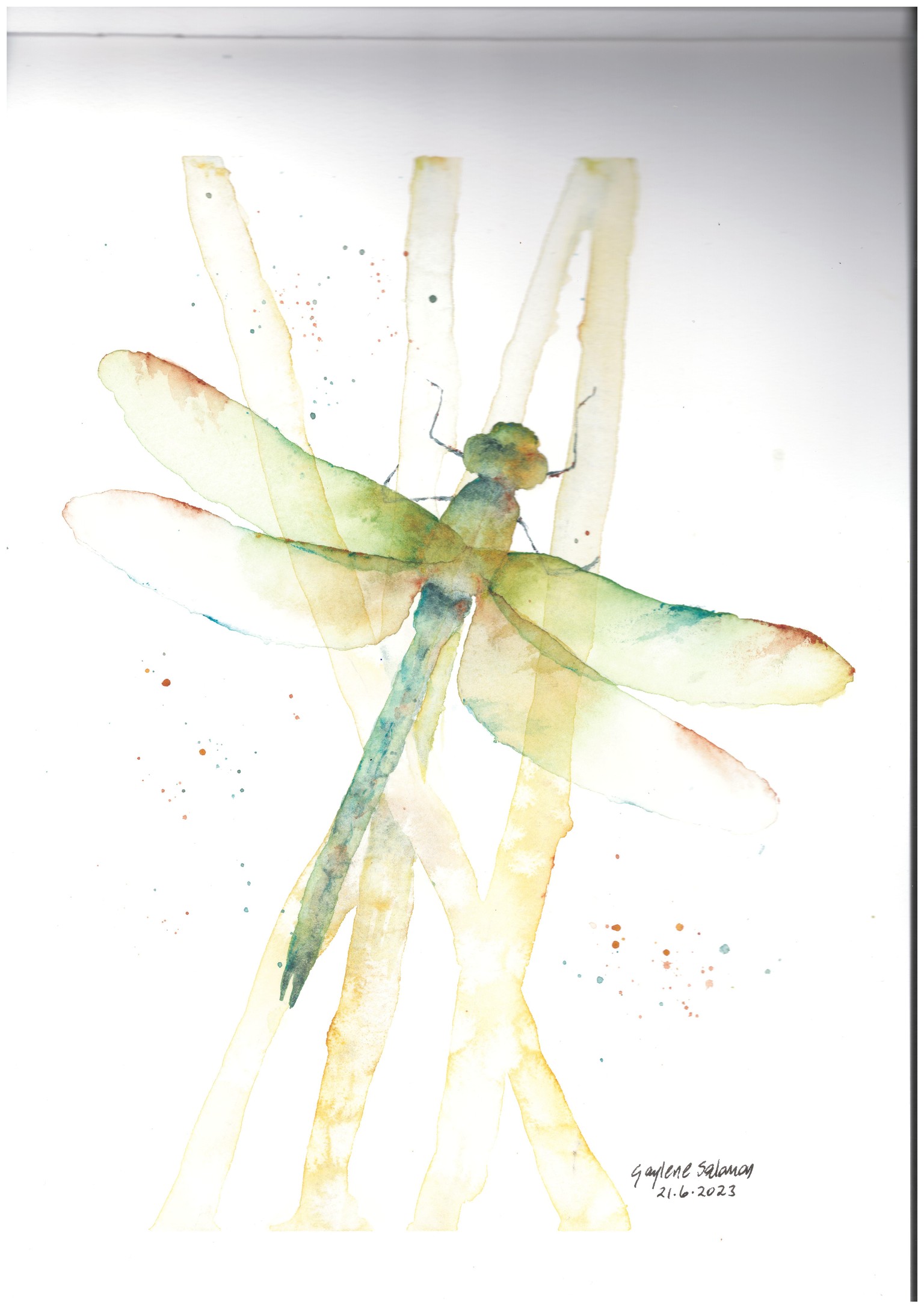 Dragonfly - image 1 - student project