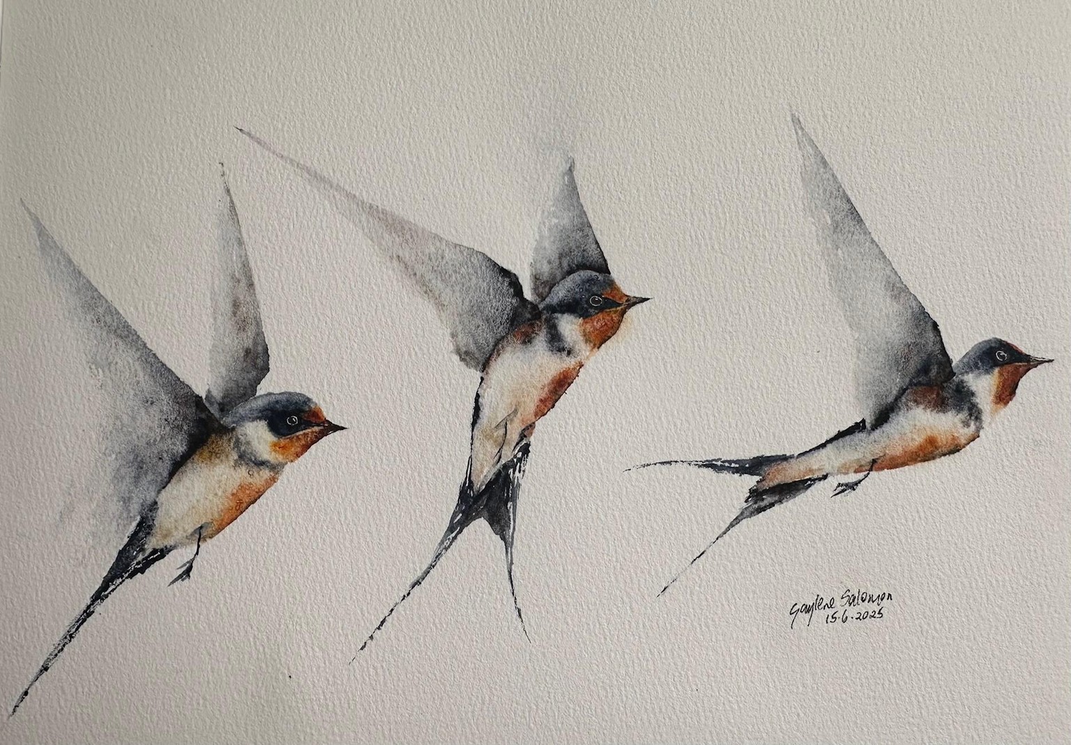 3 Swallows - image 1 - student project