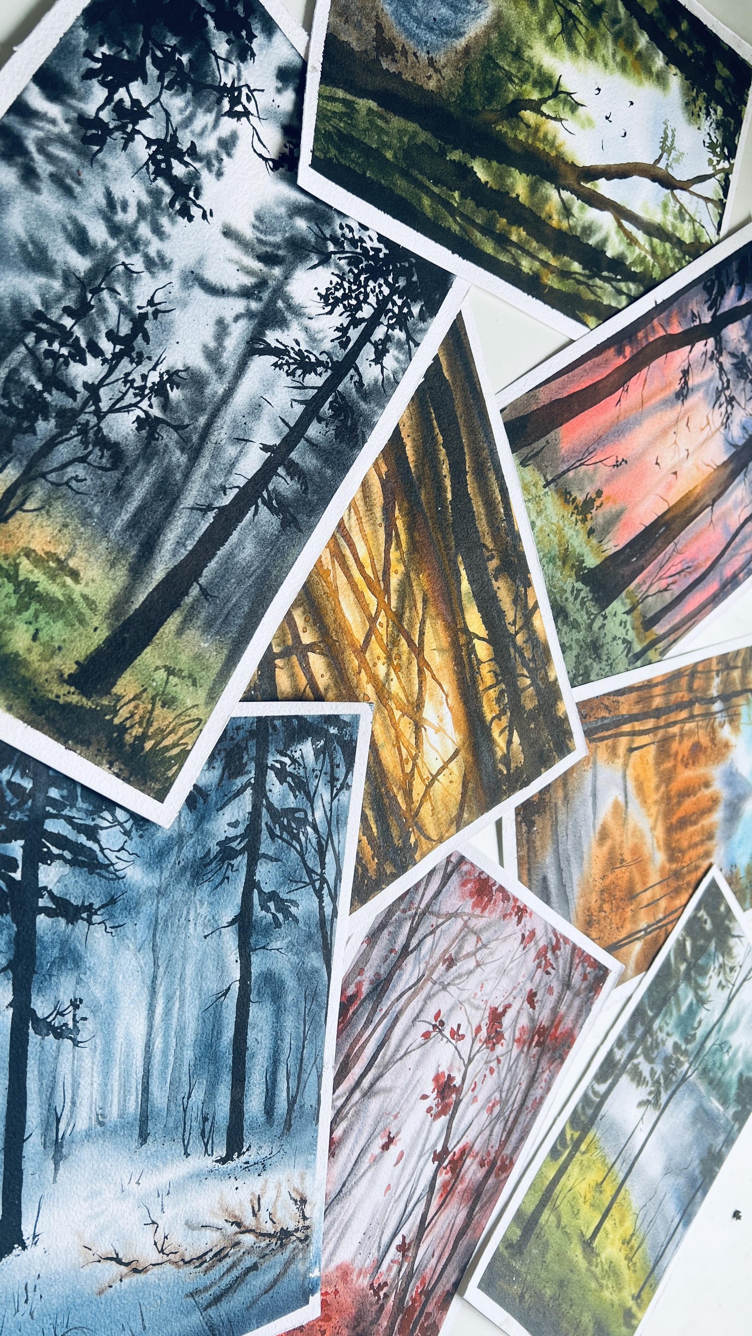Into The Woods - A 20-Day Watercolor Forest Adventure - image 1 - student project