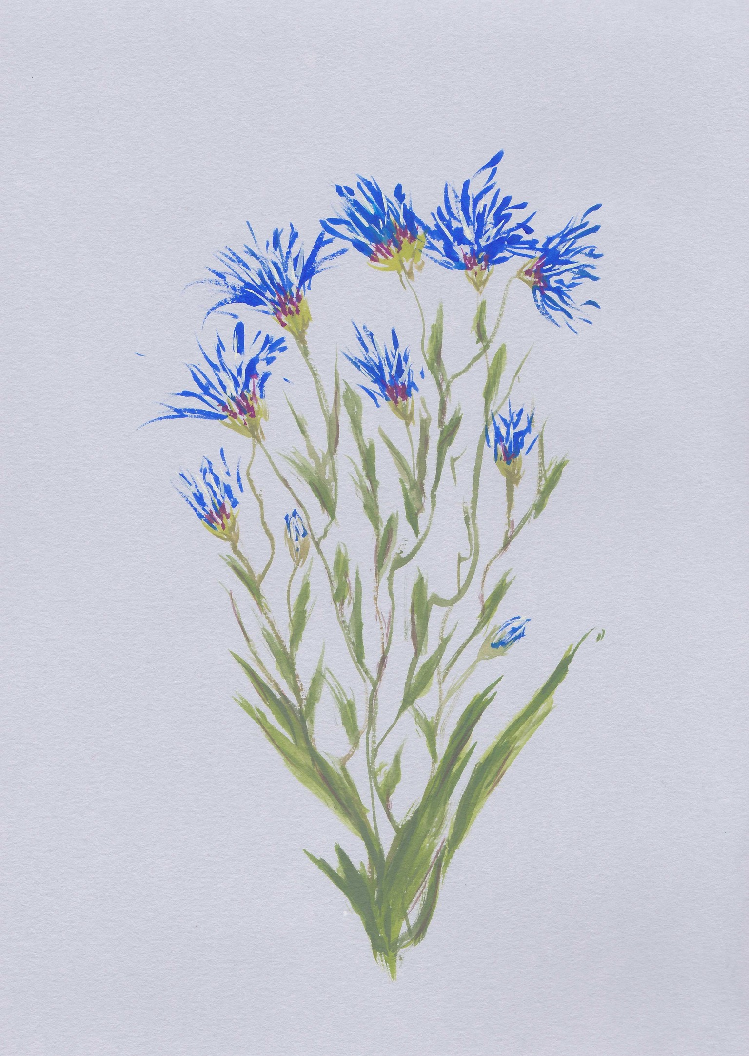 Loose flowers - image 1 - student project