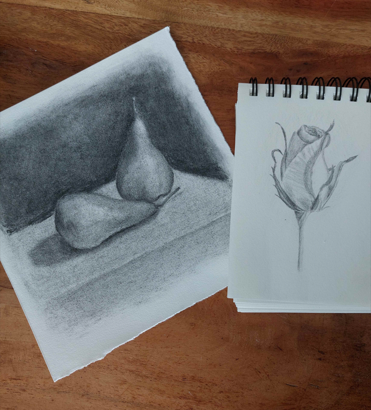 Back to Basics - image 1 - student project