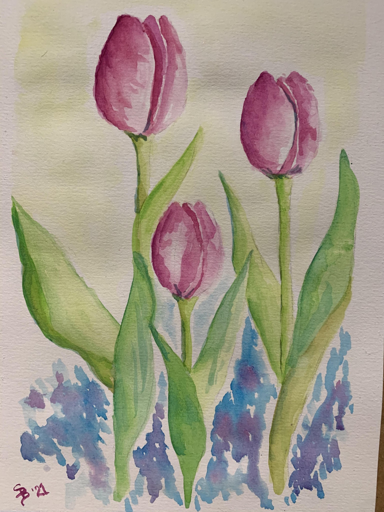 Watercolour Tulips by Two - image 1 - student project
