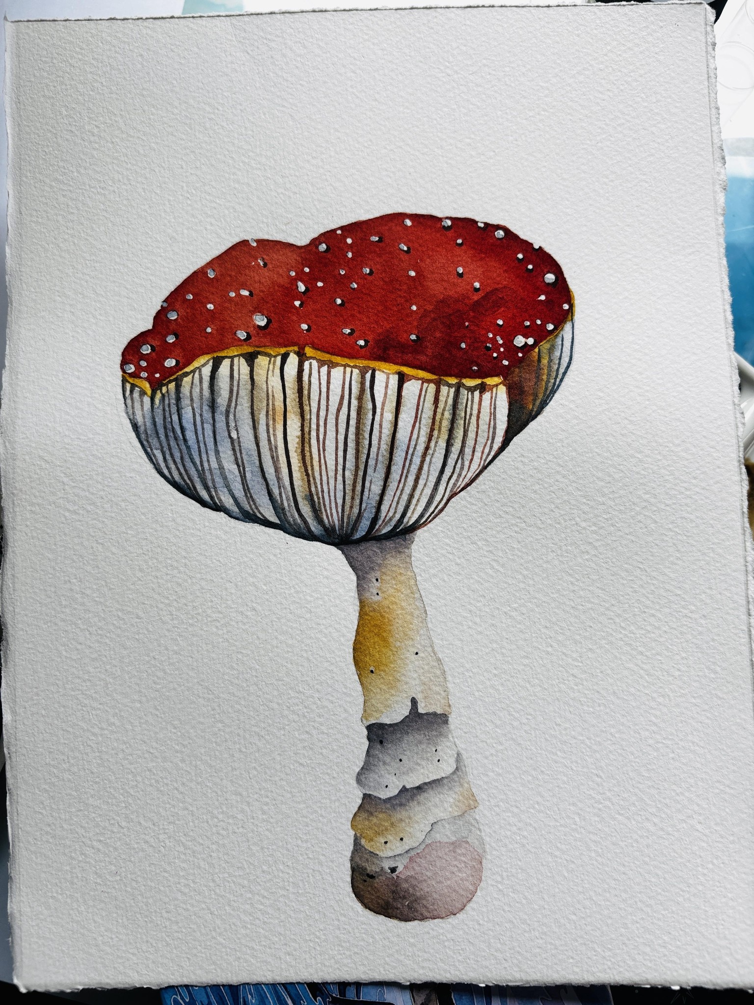 Amanita - image 1 - student project