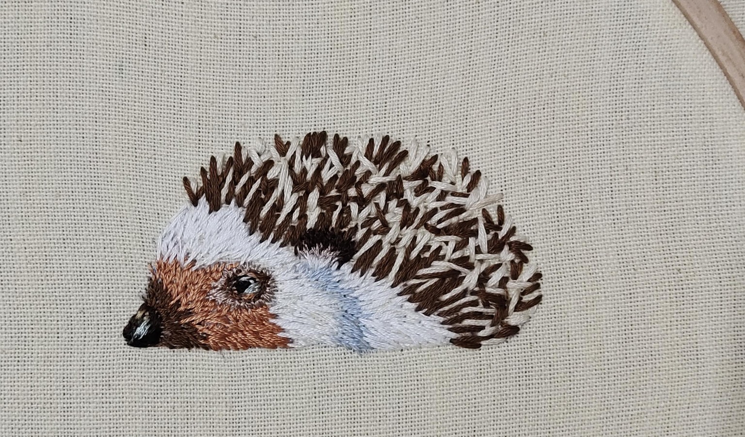 Woodland Creatures - image 1 - student project