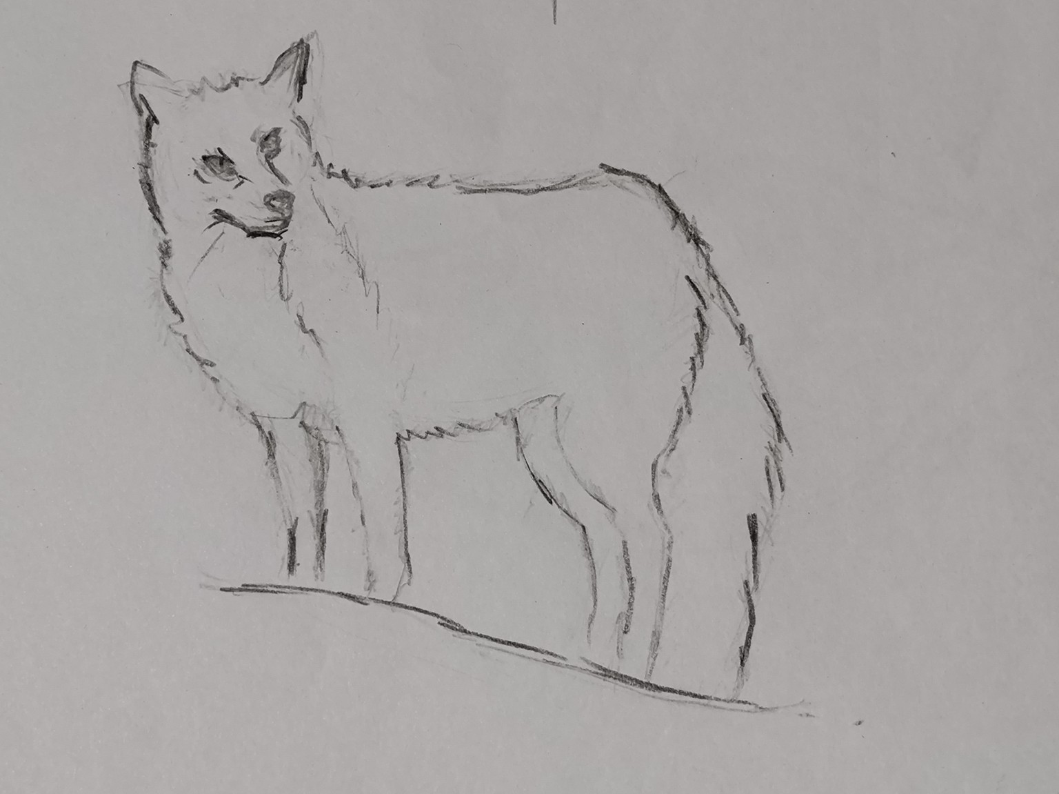 Exercises - image 3 - student project