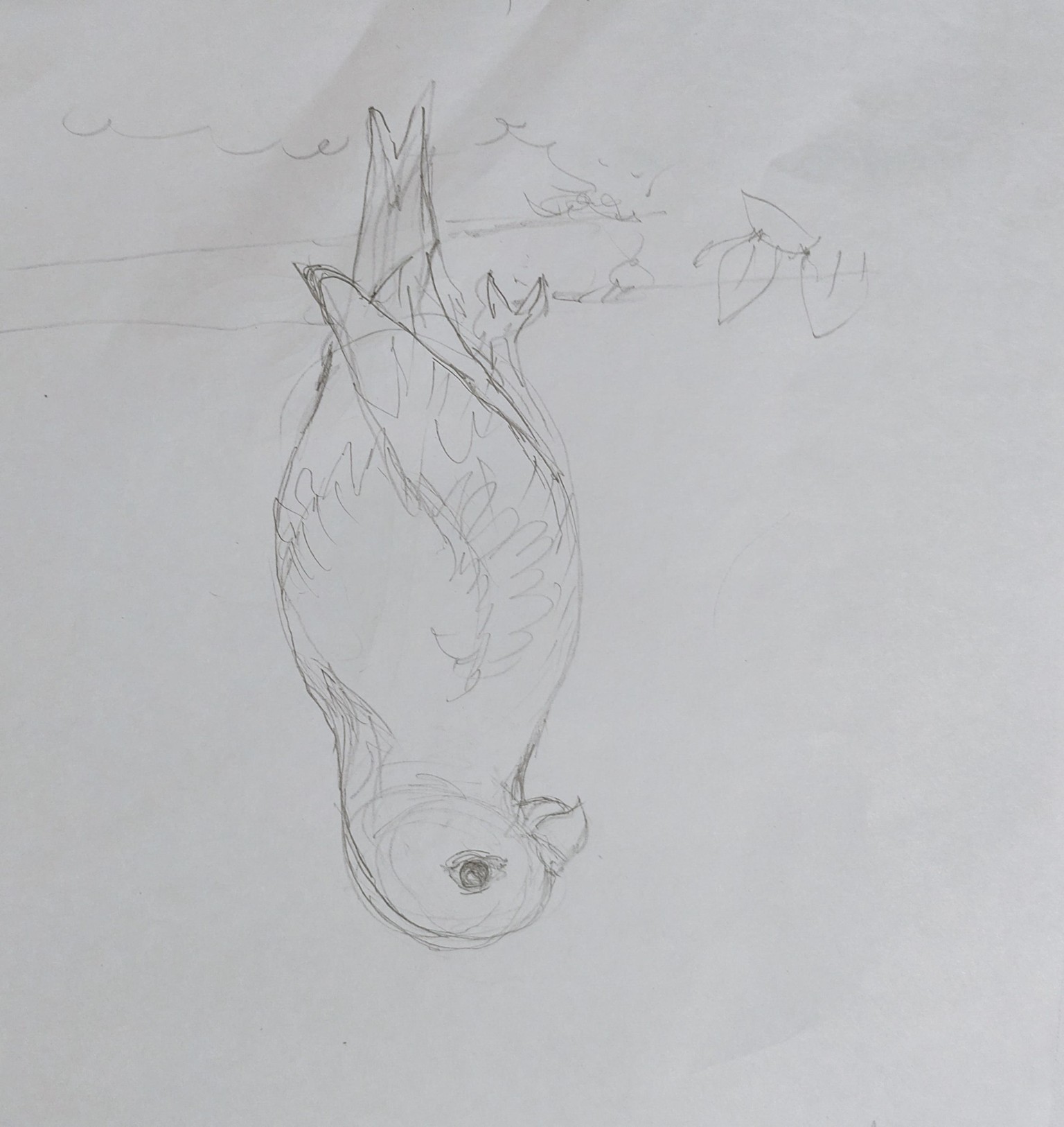 Exercises - image 1 - student project