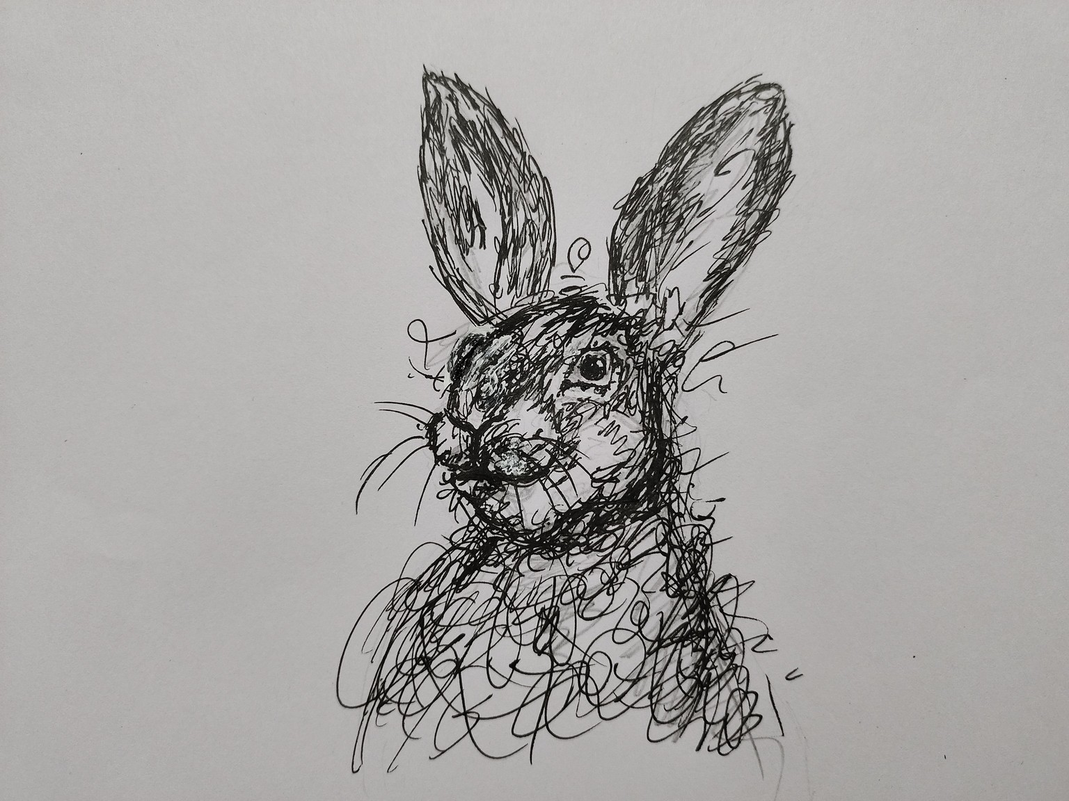 QUICK & EASY MESSY SKETCH - image 2 - student project