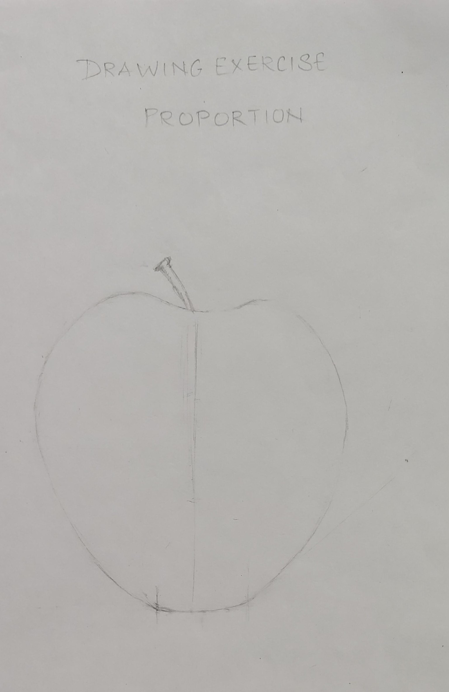 Exercises and Projects - image 12 - student project