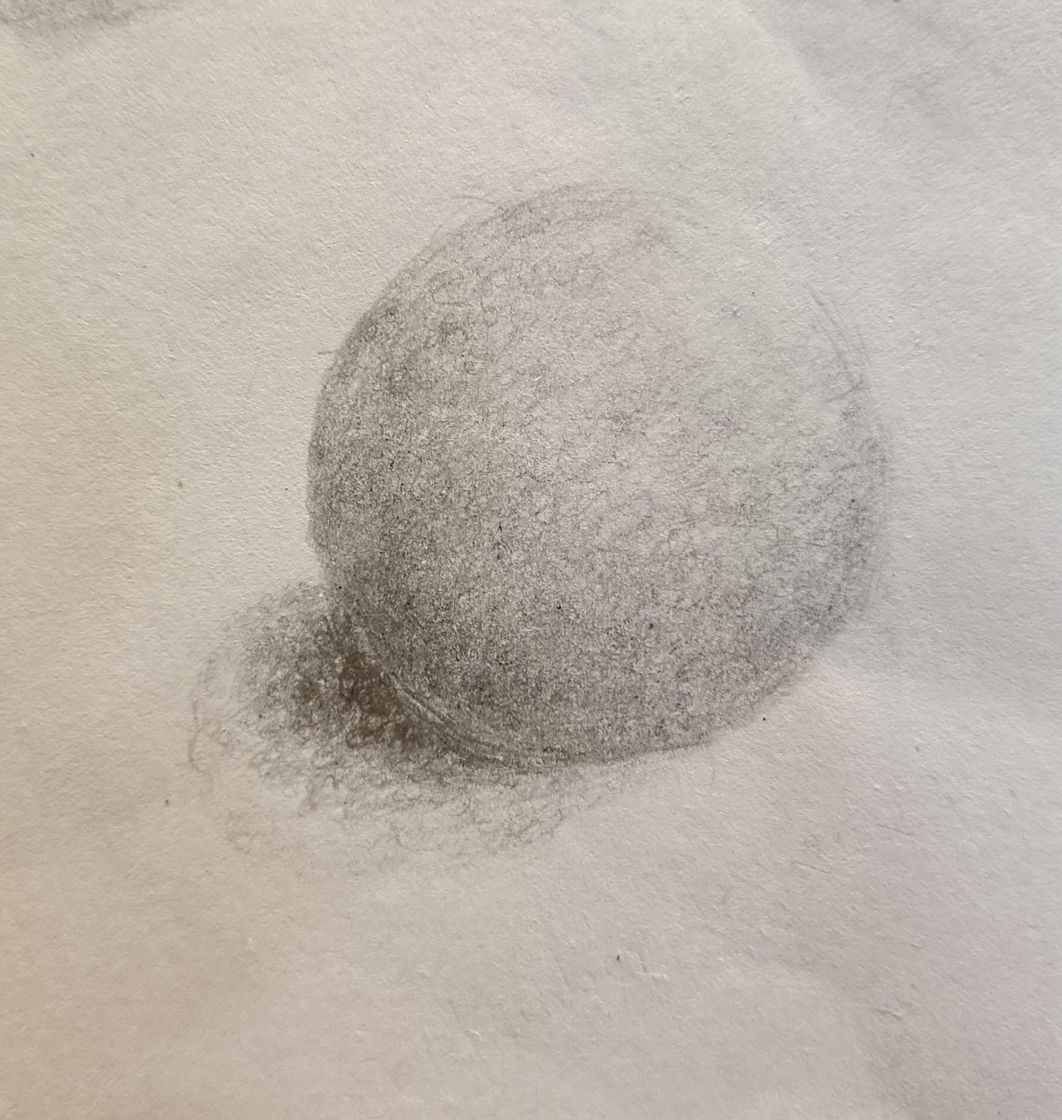 Exercises and Projects - image 2 - student project