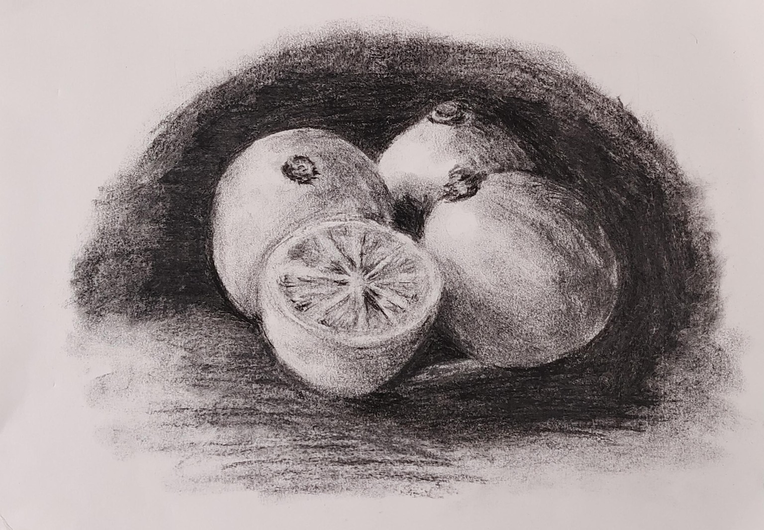 Exercises and Projects - image 13 - student project