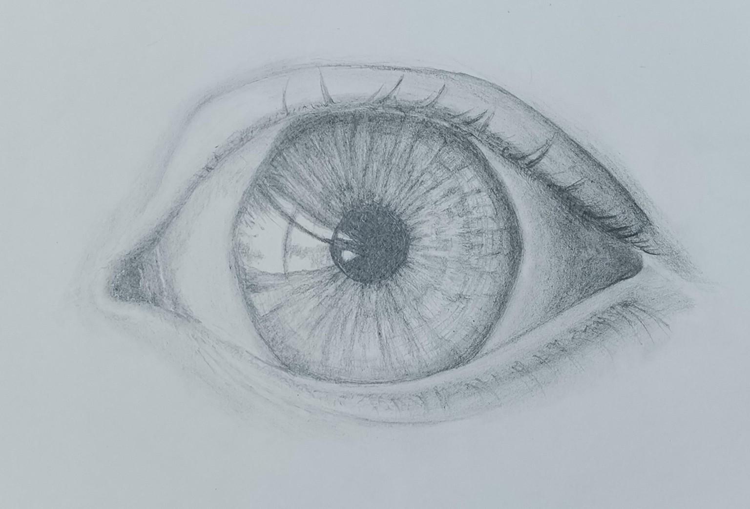Exercises and Projects - image 14 - student project
