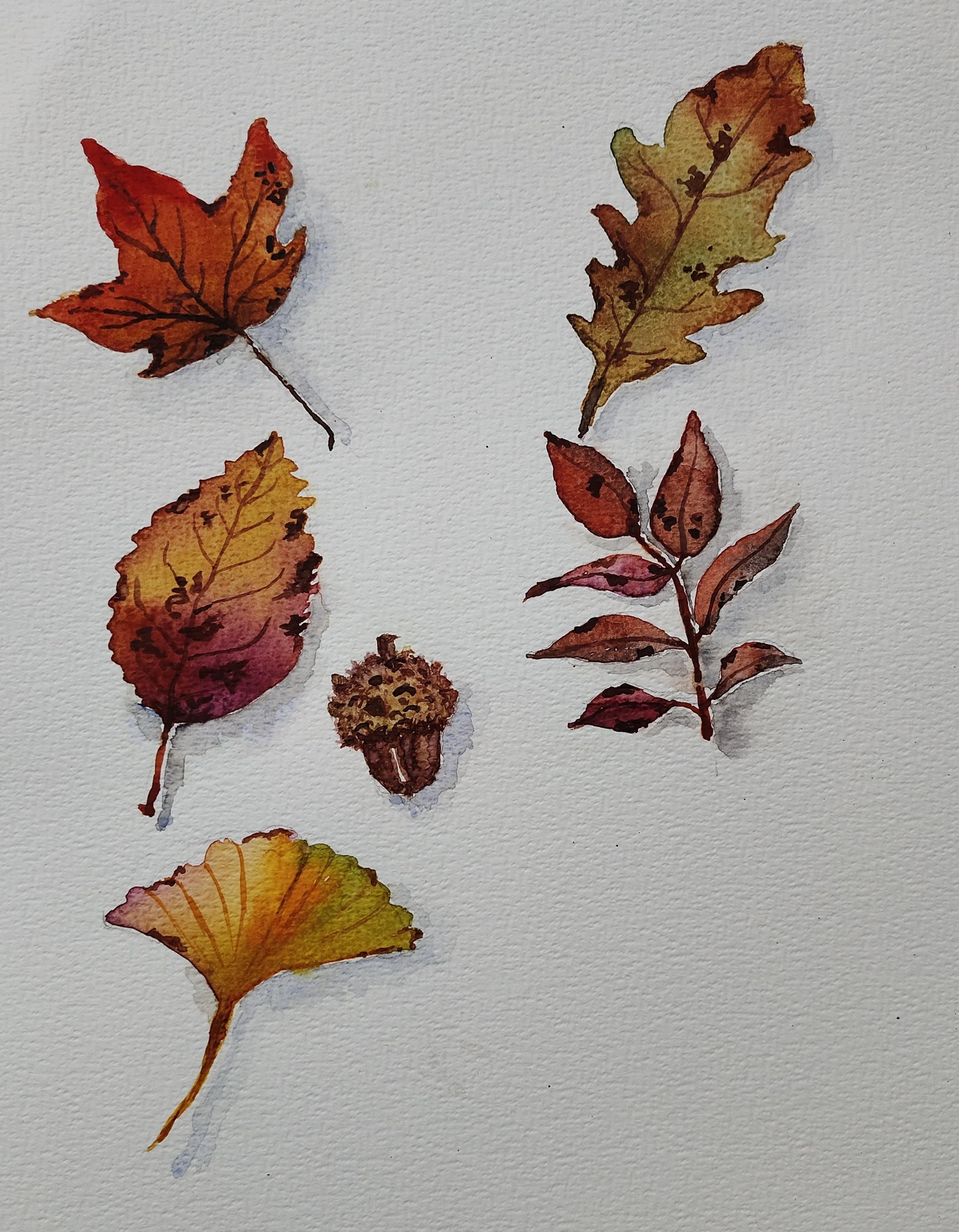Realistic Autumn Leaves - image 1 - student project