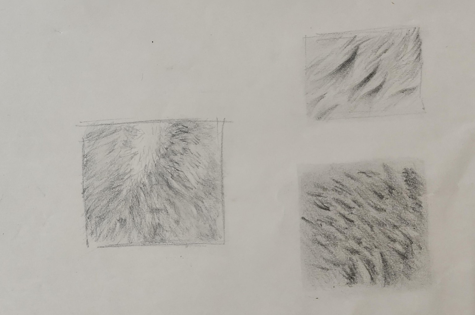Fur - image 1 - student project