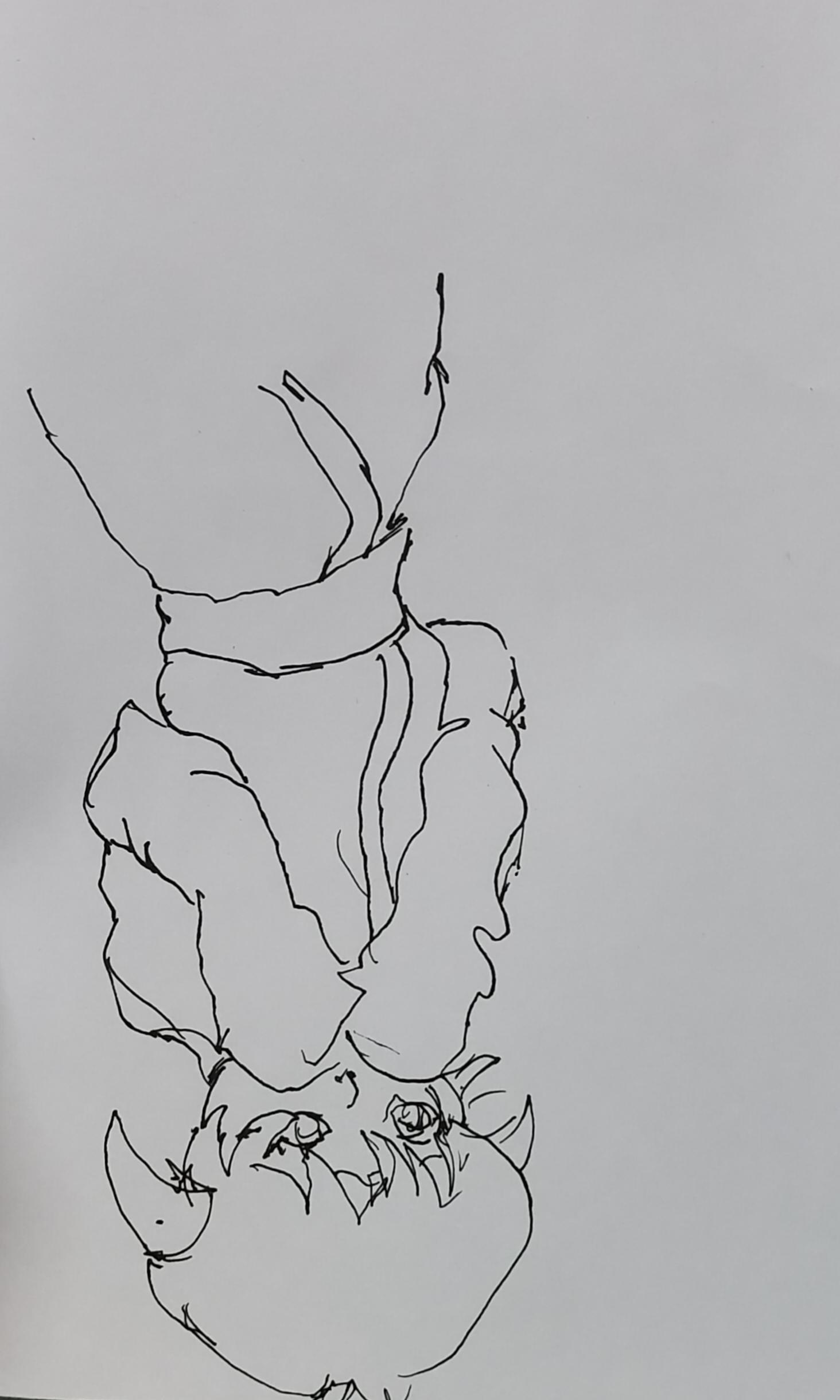 Drawing Exercises - image 1 - student project