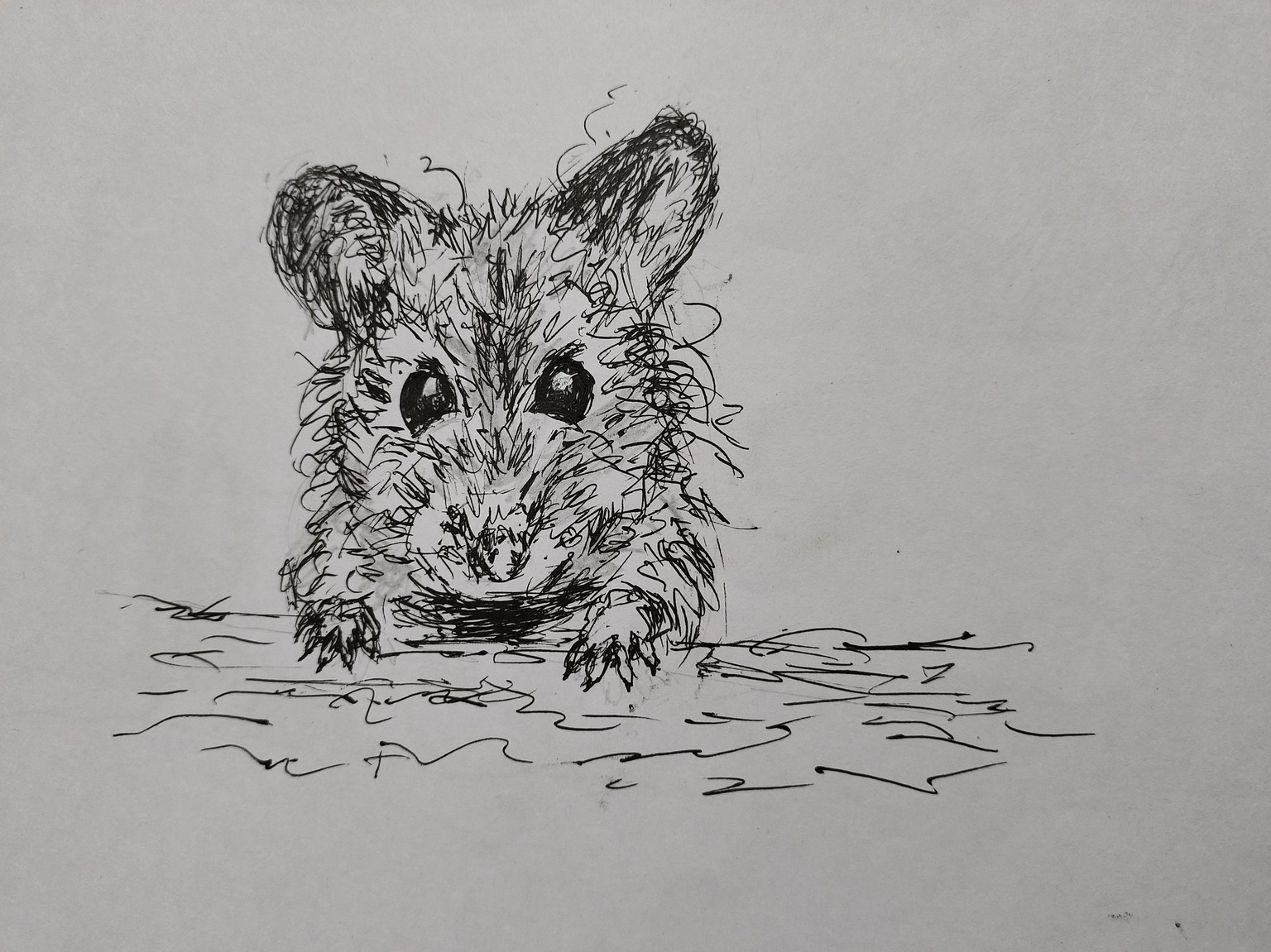 QUICK & EASY MESSY SKETCH - image 1 - student project