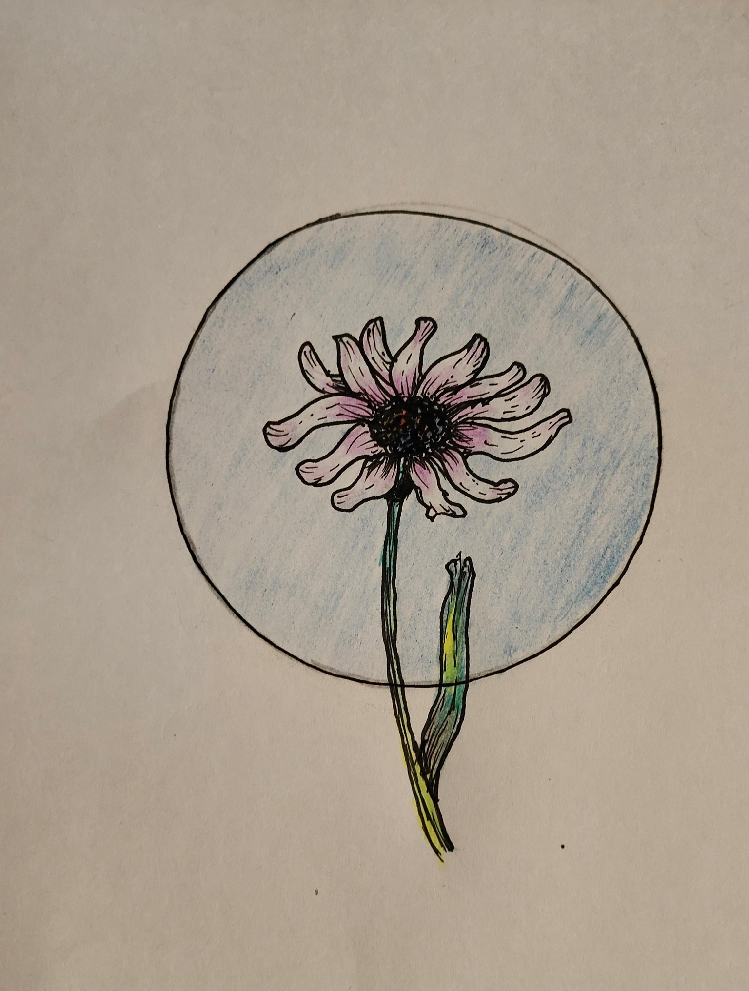 Flower Illustration - image 1 - student project