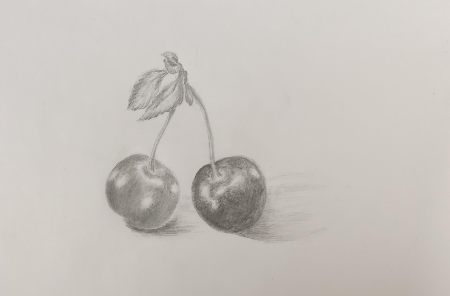 Projects - image 3 - student project