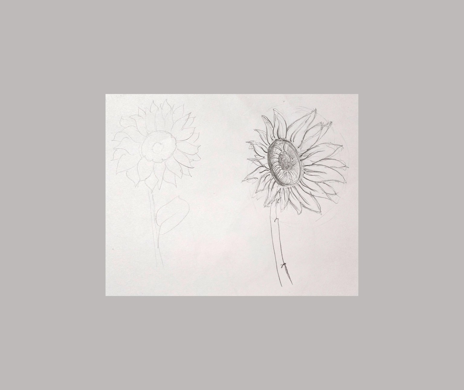 Exercises - image 2 - student project