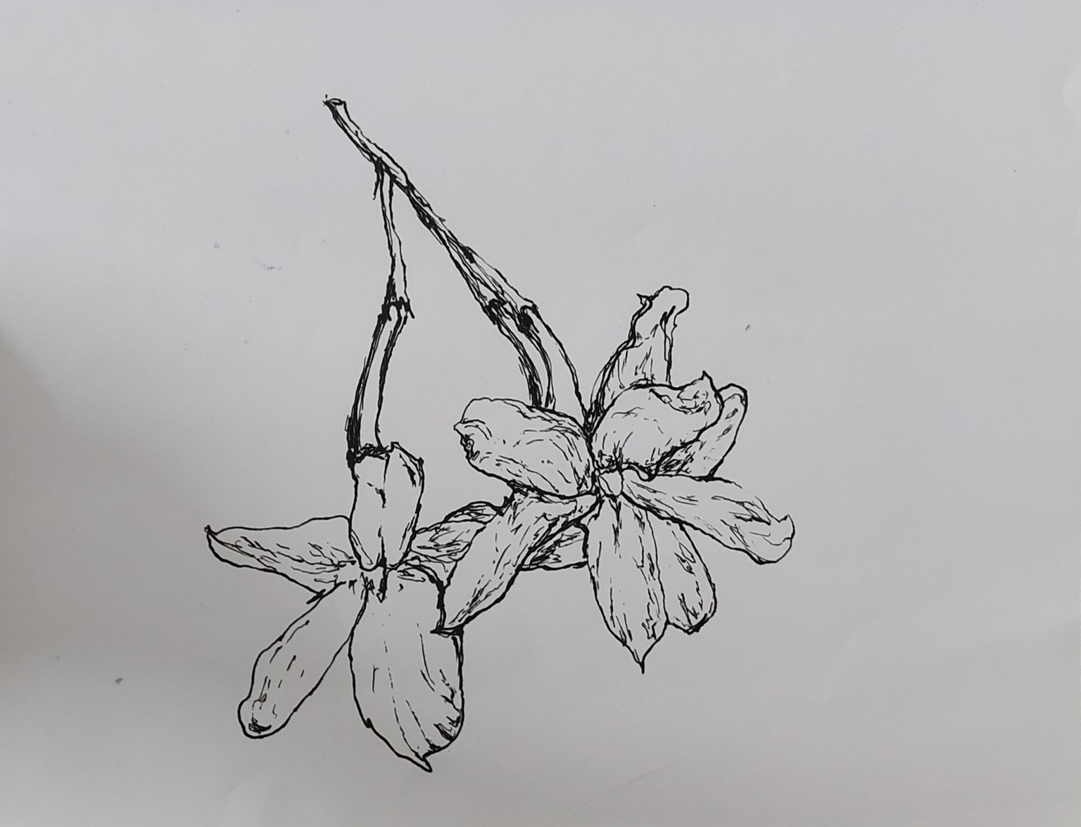 Exercises and Projects - image 6 - student project