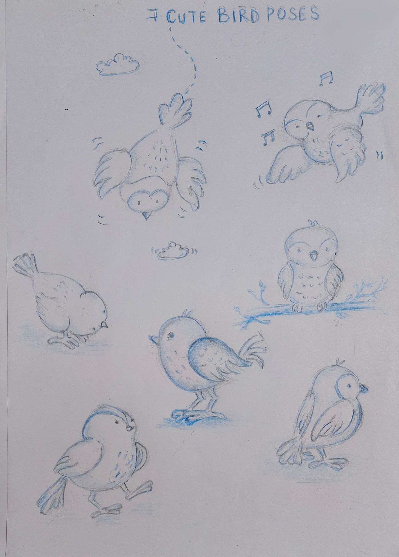 Cute Bird Poses - image 1 - student project