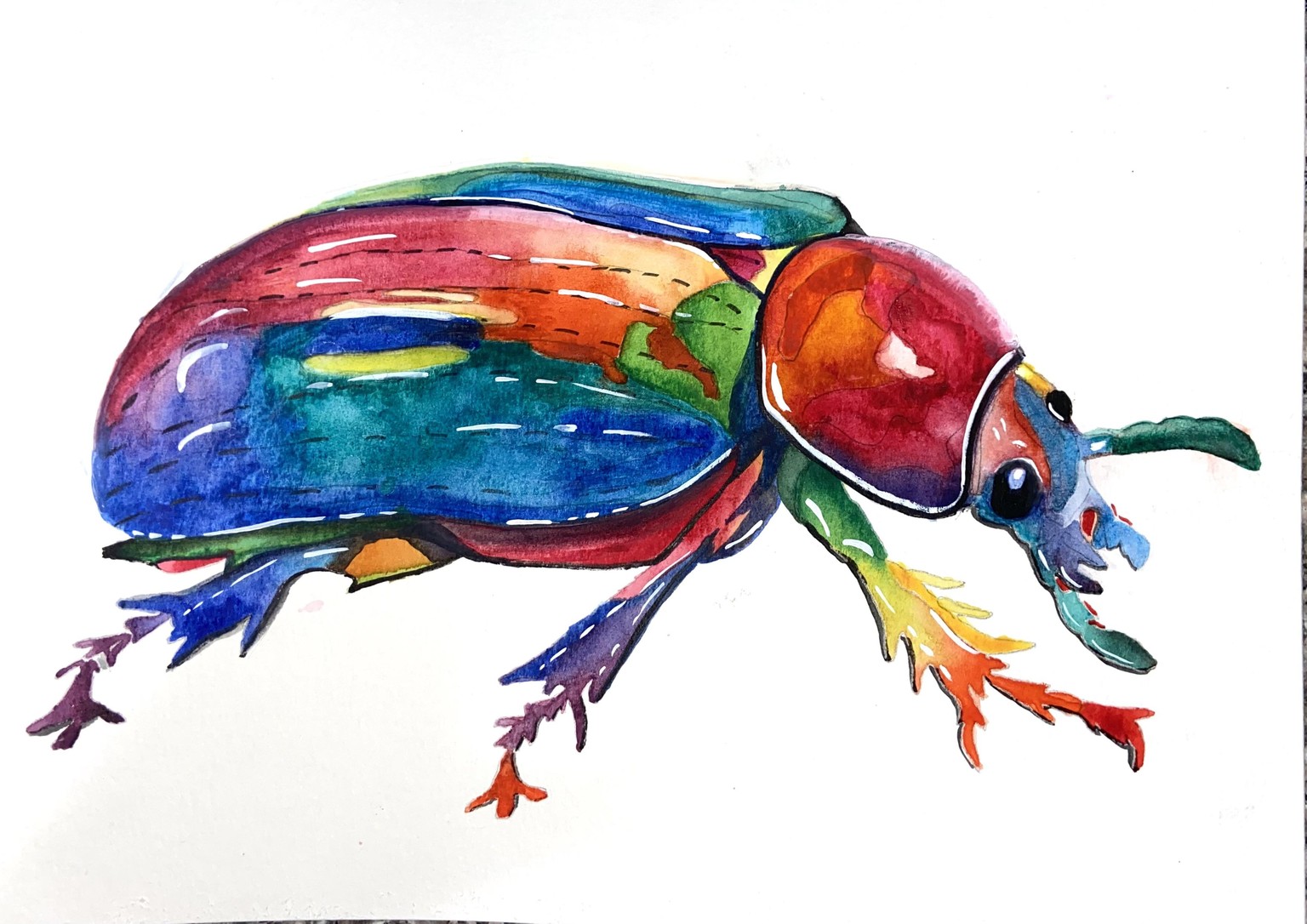 Colorful bug - image 1 - student project