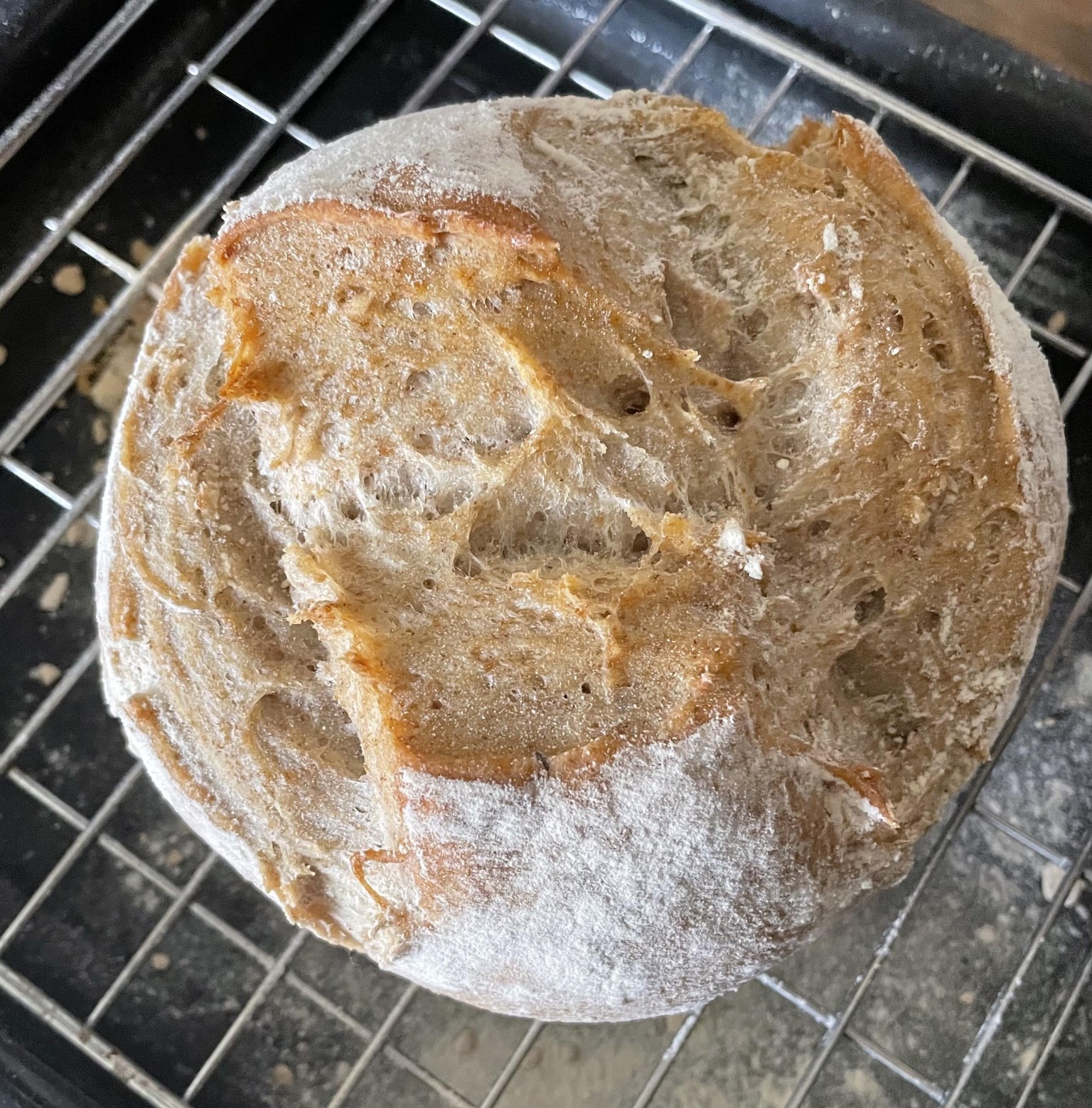 Hannah’s 1st Sourdough Loaf - image 1 - student project