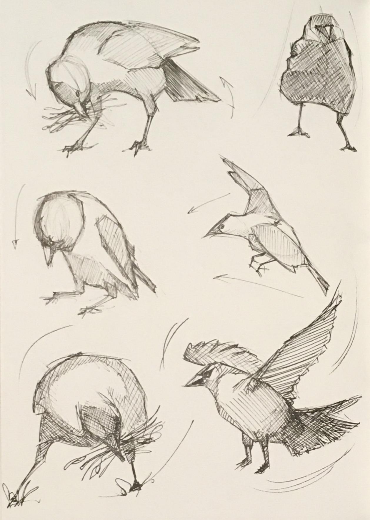 Fox Sketches & Exercises - image 3 - student project