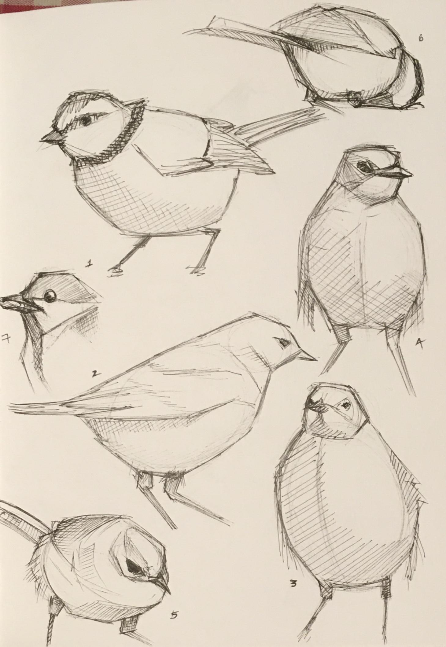 Fox Sketches & Exercises - image 2 - student project