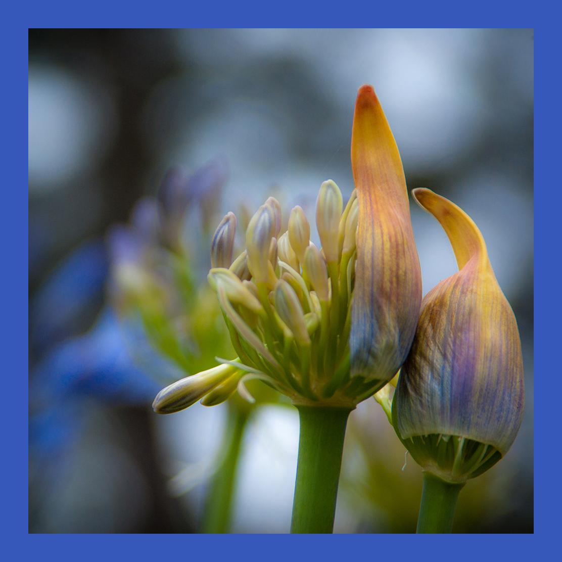 Tip 10 - image 1 - student project