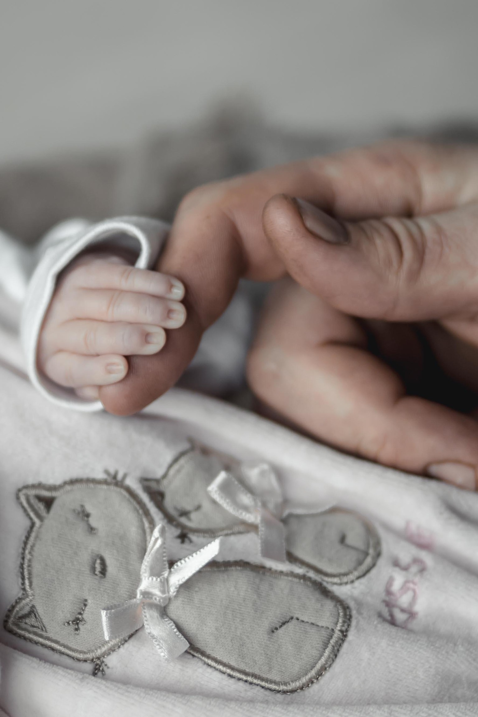 Newborn Girl - image 4 - student project