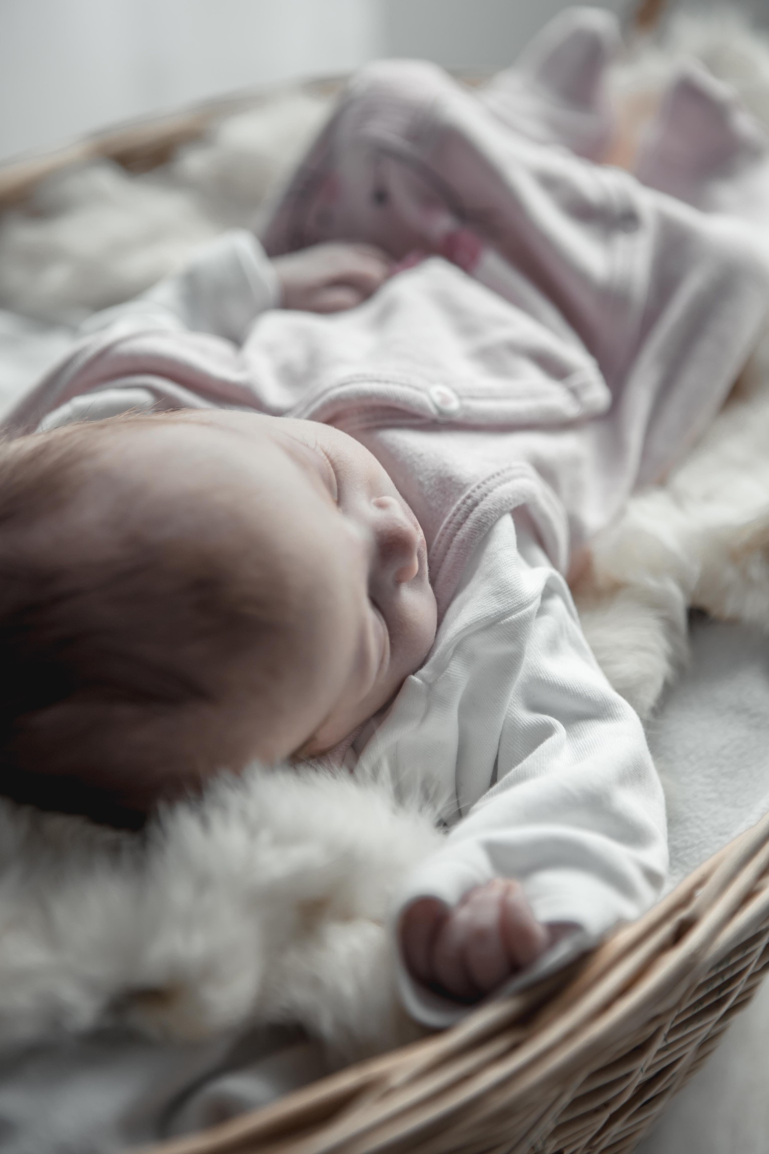 Newborn Girl - image 21 - student project
