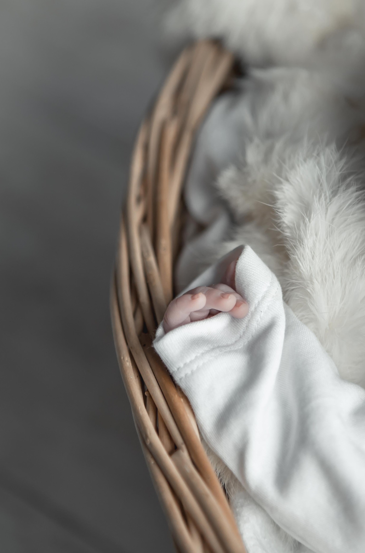 Newborn Girl - image 6 - student project