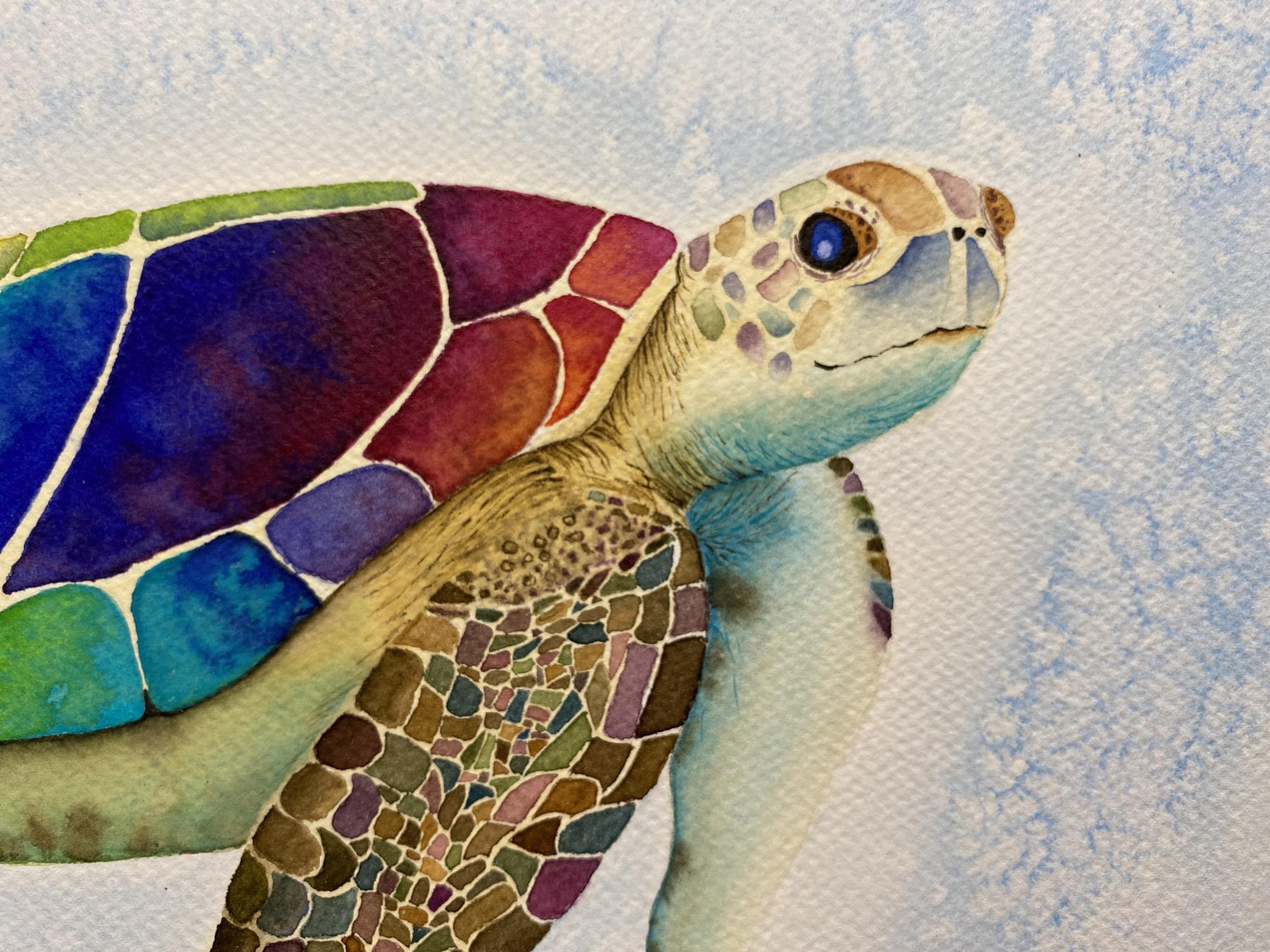 Colorful beauty - image 1 - student project