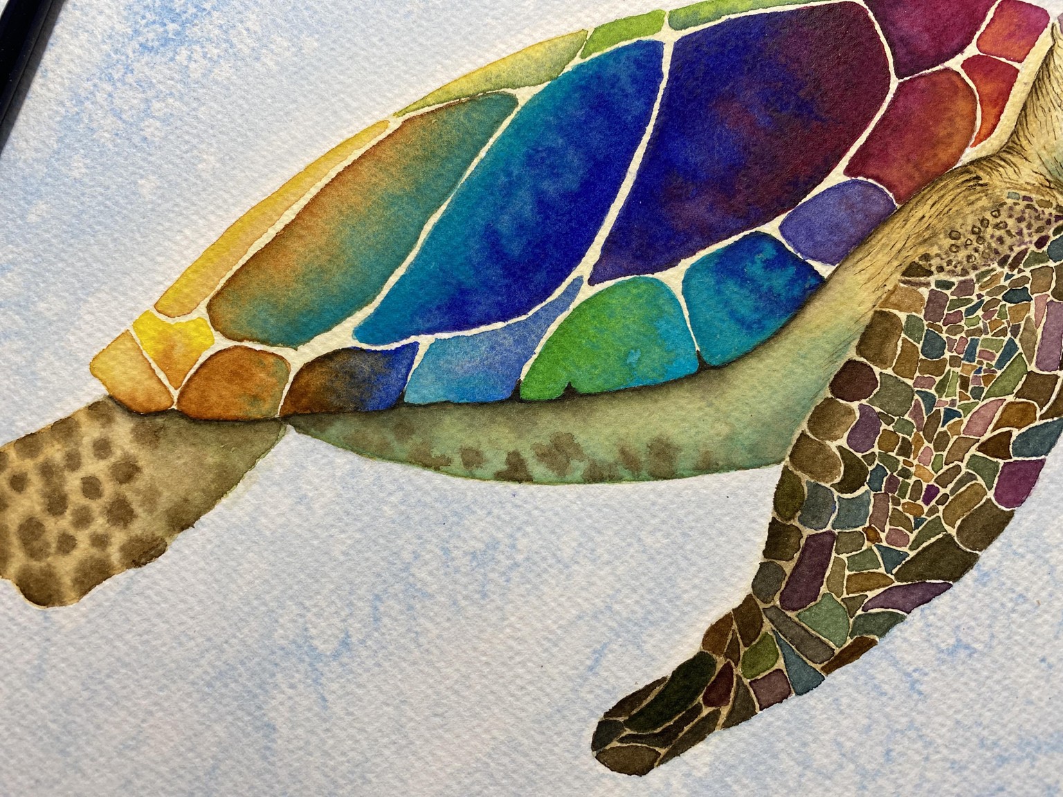 Colorful beauty - image 2 - student project