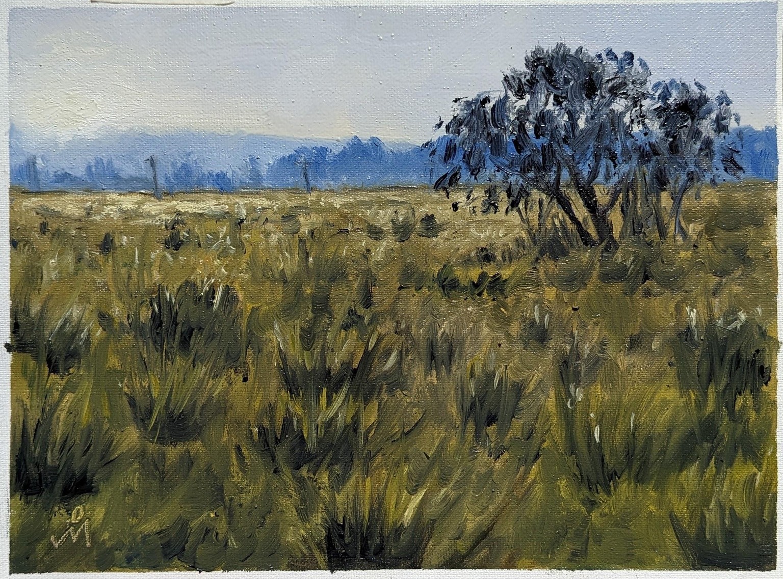My 3 Morning Paintings - image 2 - student project