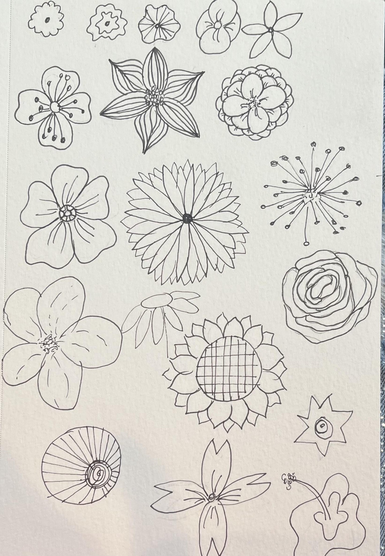 Easy and Simple Botanicals - image 1 - student project