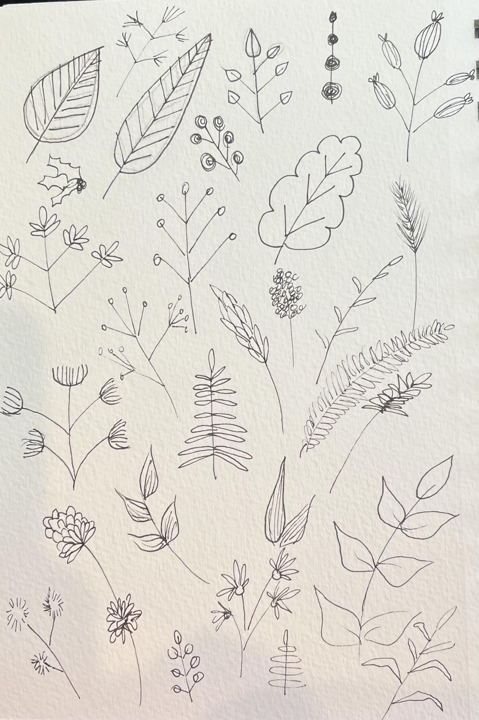 Easy and Simple Botanicals - image 2 - student project