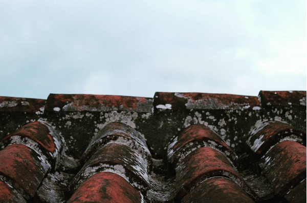 Rule of Thirds - image 1 - student project