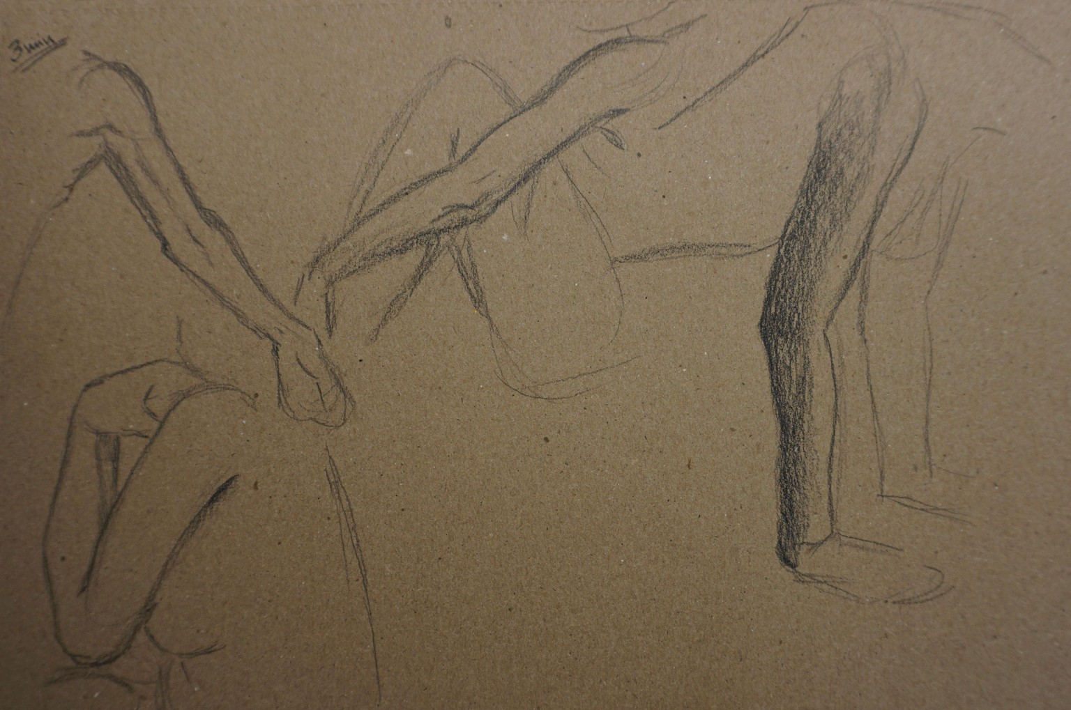 Drawing Arms - image 1 - student project