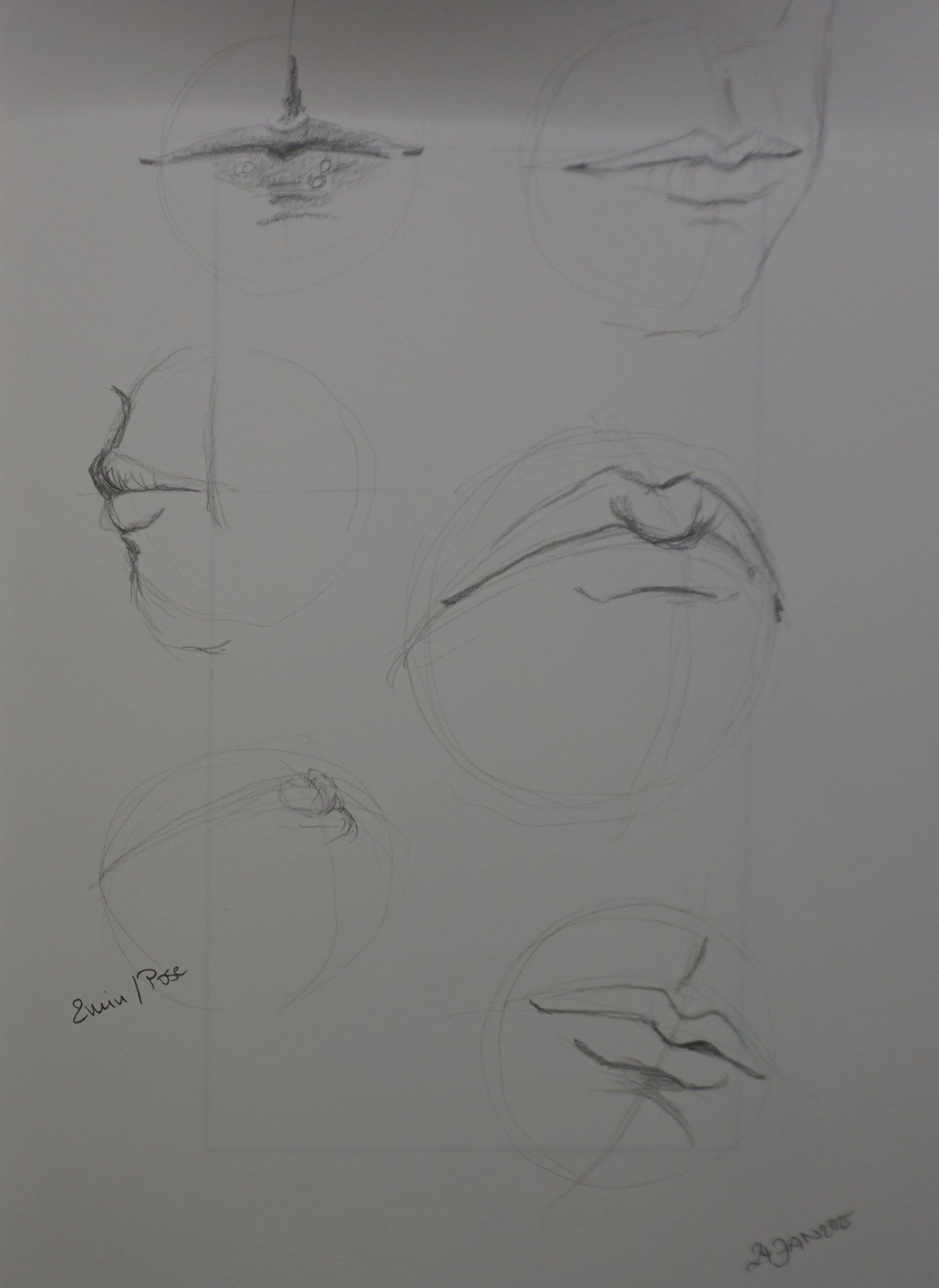 Facial Features - image 3 - student project