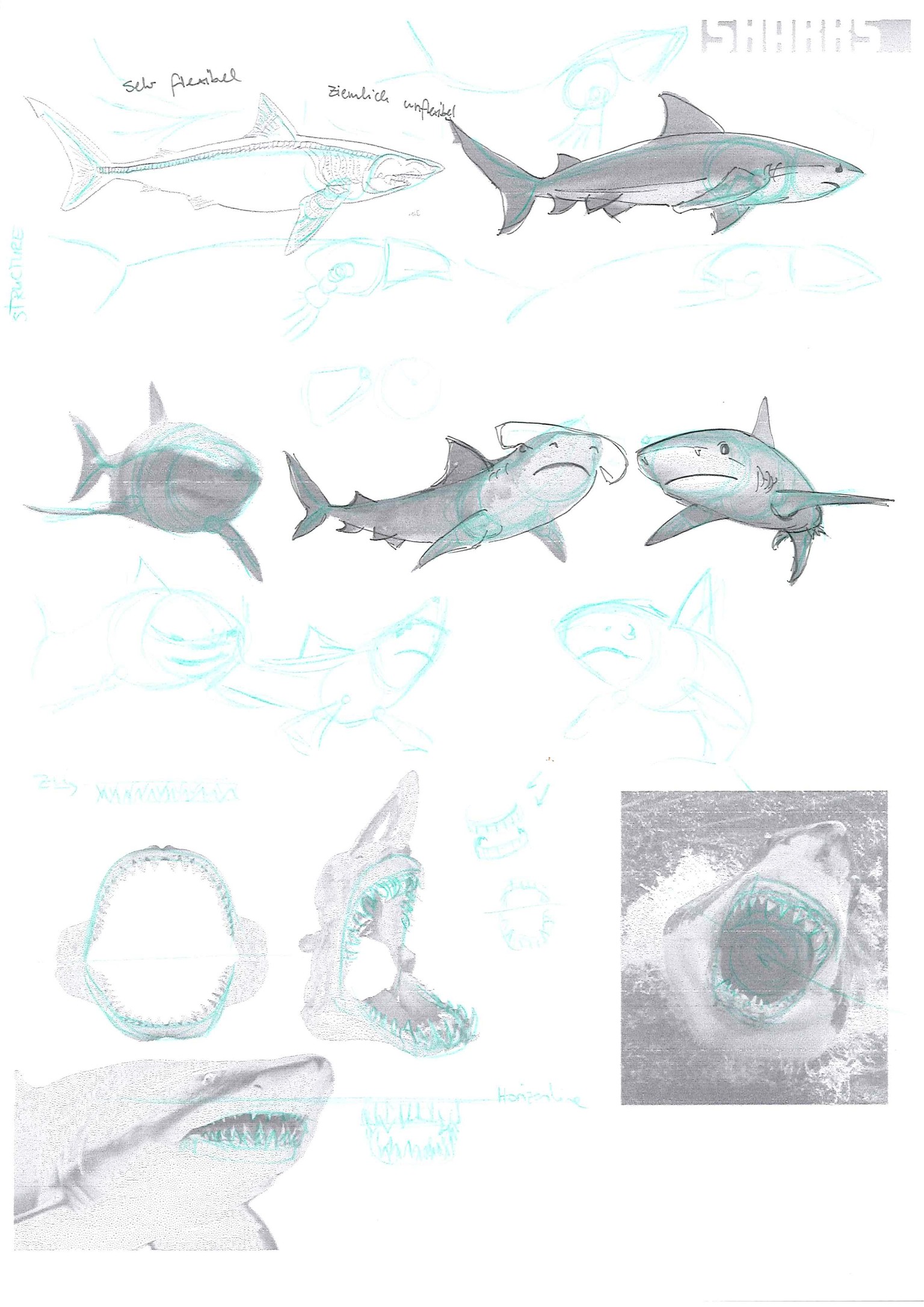 How to draw animals - image 4 - student project