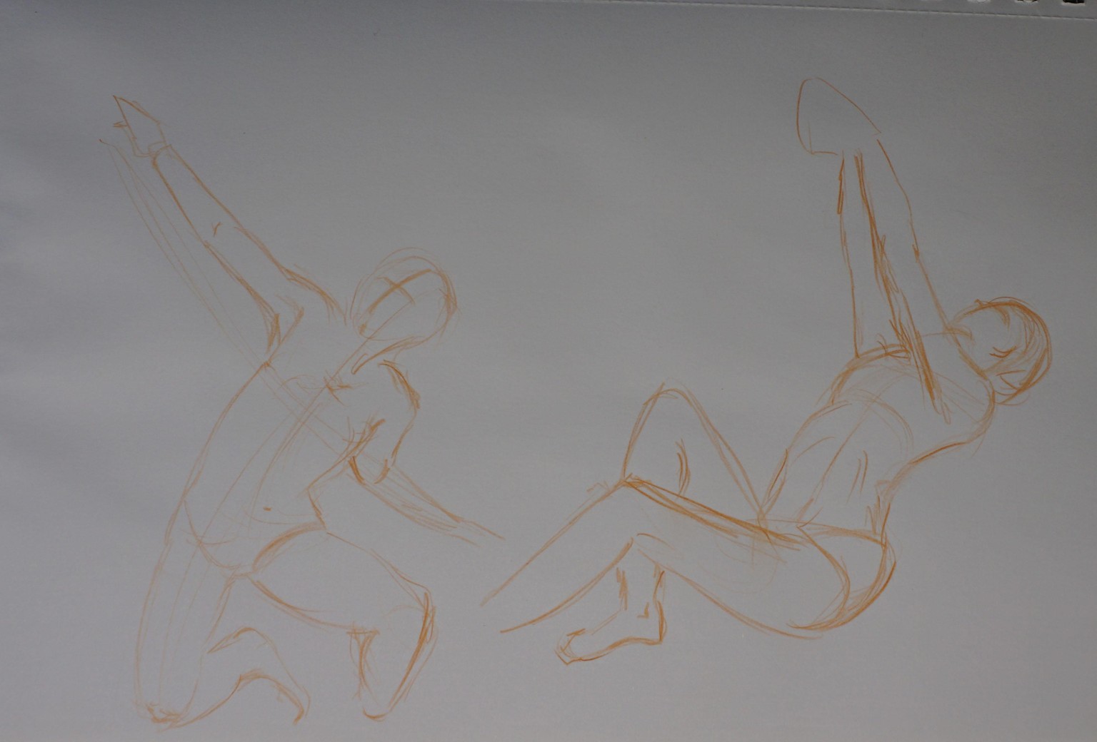 Proportions - image 3 - student project